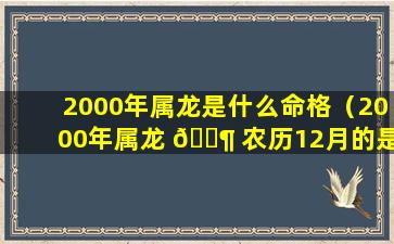 2000年属龙是什么命格（2000年属龙 🐶 农历12月的是什么命 🦋 ）